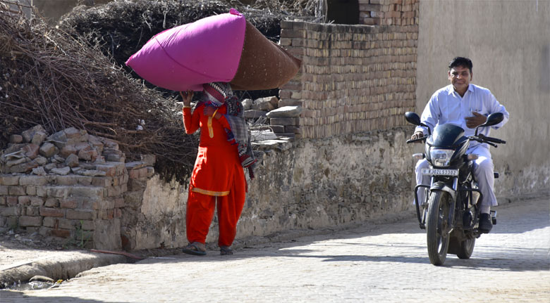 Au Nord du Rajasthan